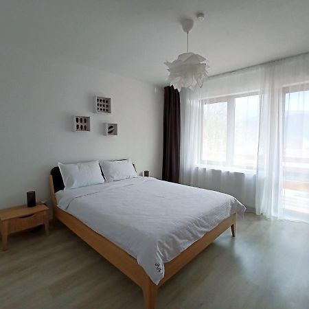 Zander Home Apartment Buşteni 外观 照片