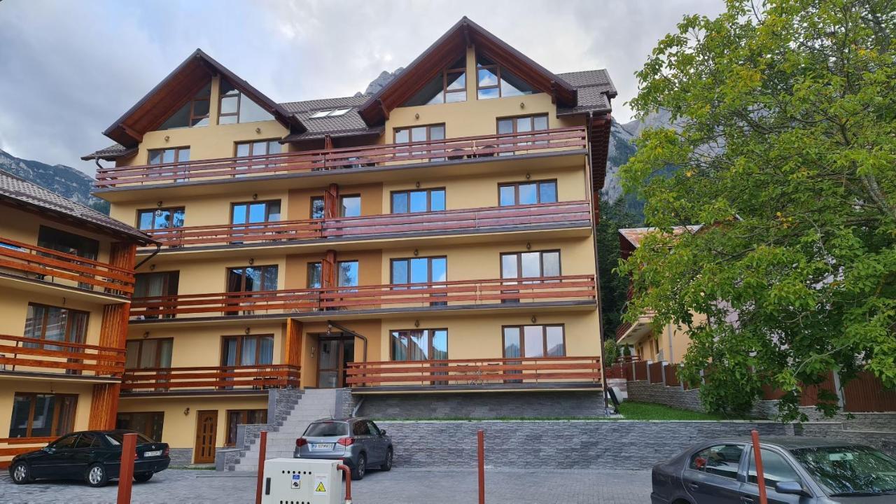 Zander Home Apartment Buşteni 外观 照片