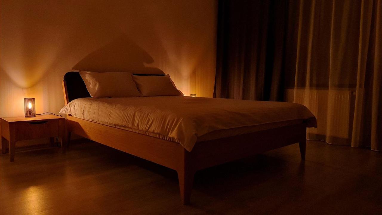 Zander Home Apartment Buşteni 外观 照片