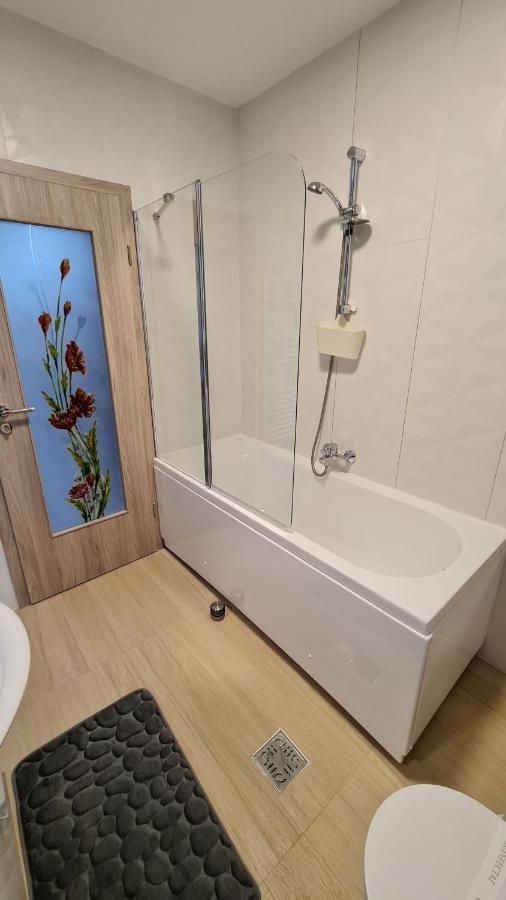 Zander Home Apartment Buşteni 外观 照片
