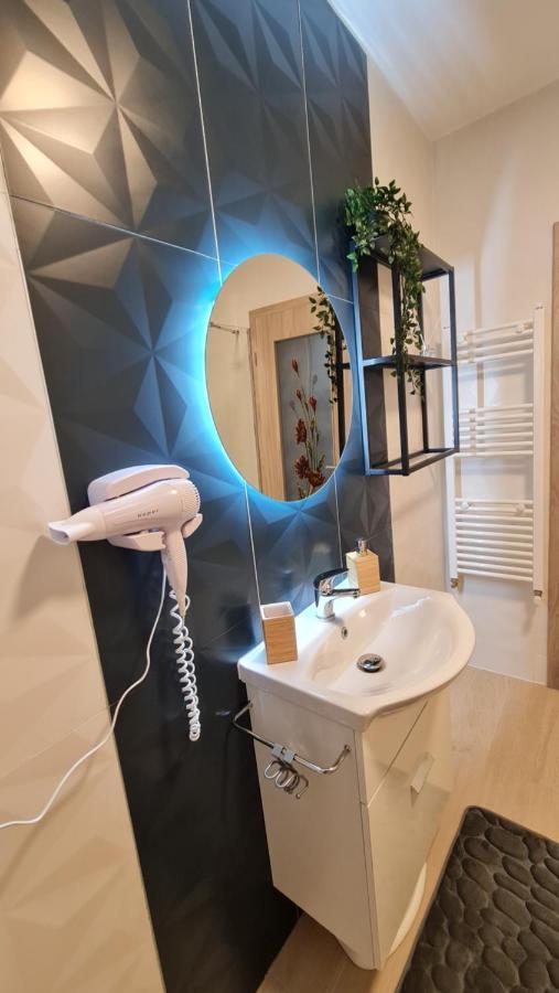 Zander Home Apartment Buşteni 外观 照片
