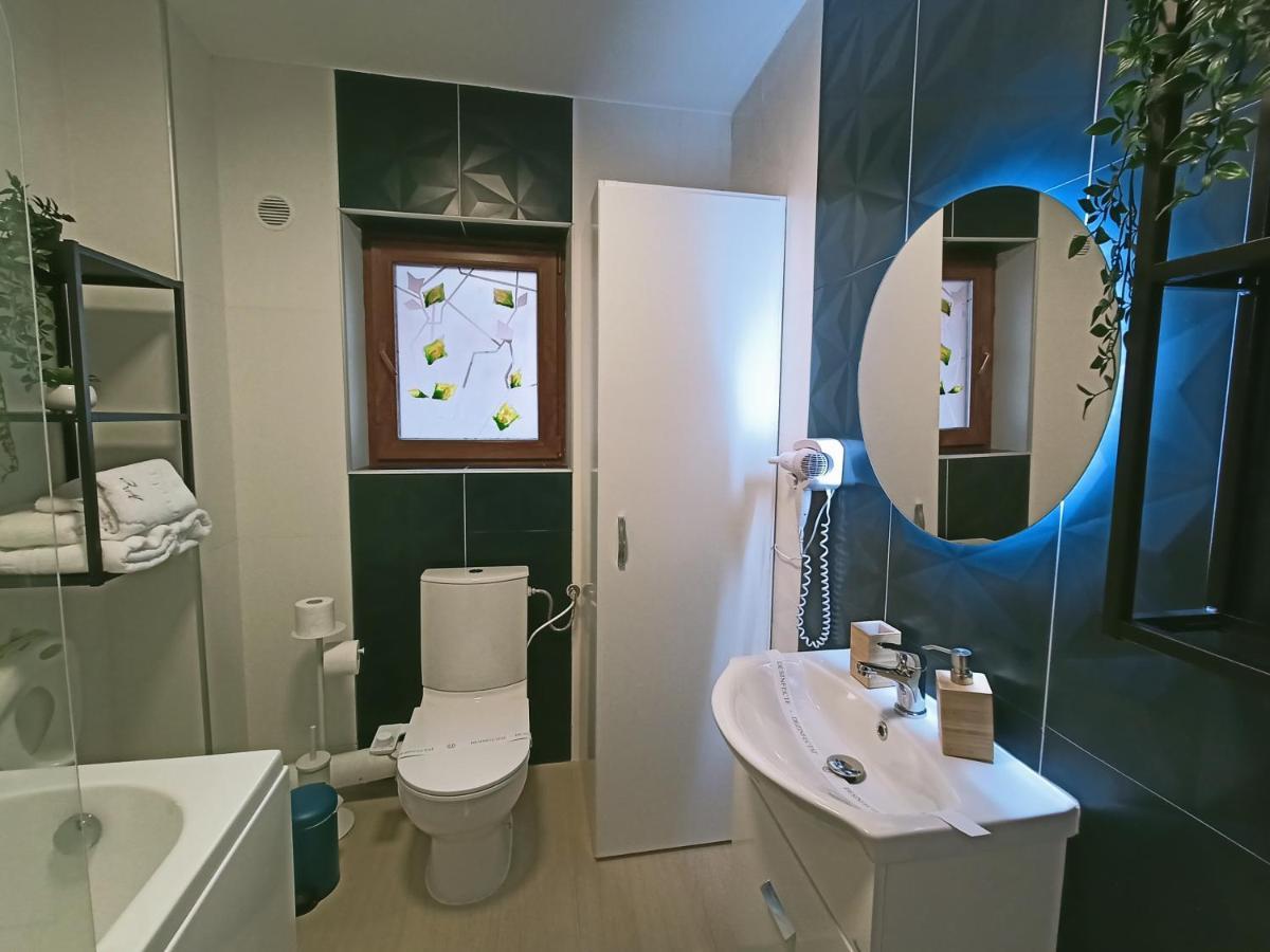 Zander Home Apartment Buşteni 外观 照片